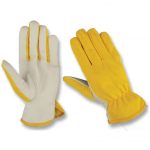 Safety Gloves Collection
