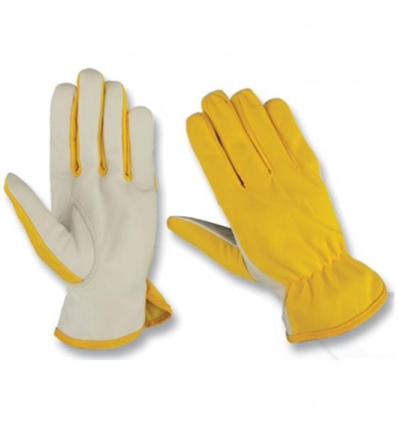 1-6.jpg Safety Gloves Collection - Image 1
