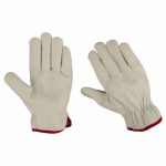 Driving Gloves Collection