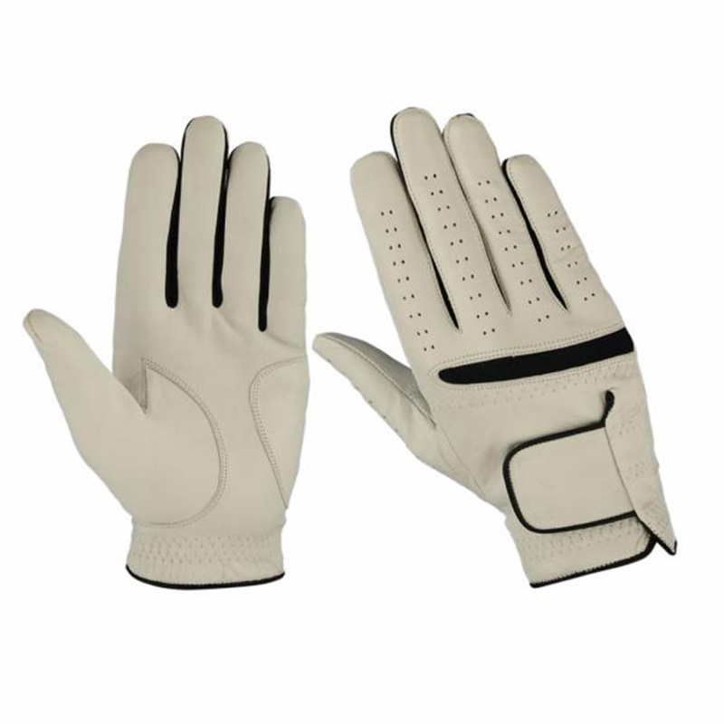2-4.jpg Golf Gloves Collection - Image 1