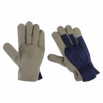 Artificia Leather Gloves
