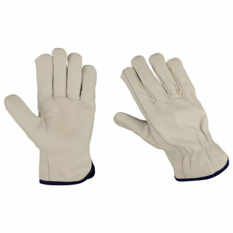 3-3.jpg Driving Gloves Collection - Image 1