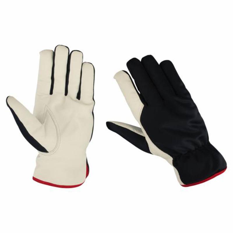3-6.jpg Safety Gloves Collection - Image 1