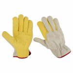 Driving Gloves Collection
