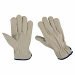 Driving Gloves Collection
