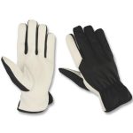 Safety Gloves Collection