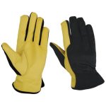 Safety Gloves Collection